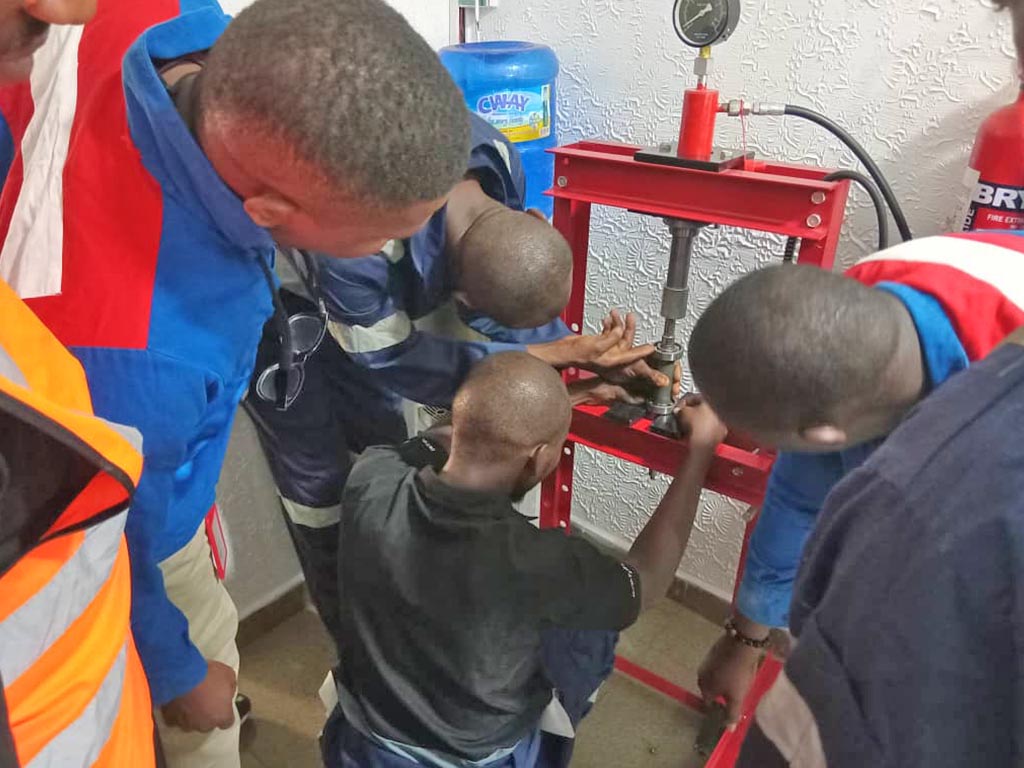 Mentorship & Career Support